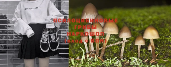 винт Бронницы