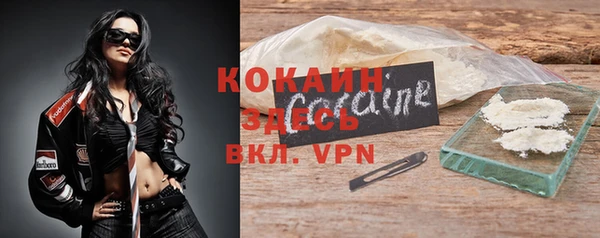 шишки Богданович