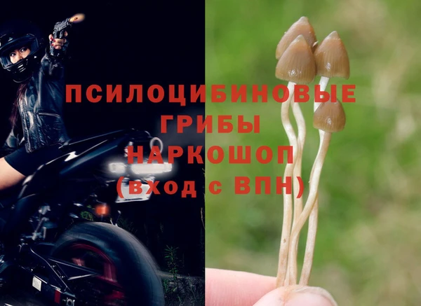 гашик Верхнеуральск